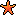 5 Starfishes